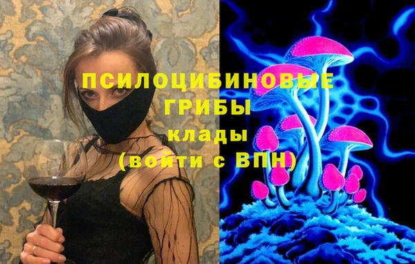 мет Гусев