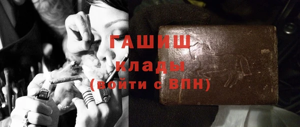 прущие грибы Гусиноозёрск