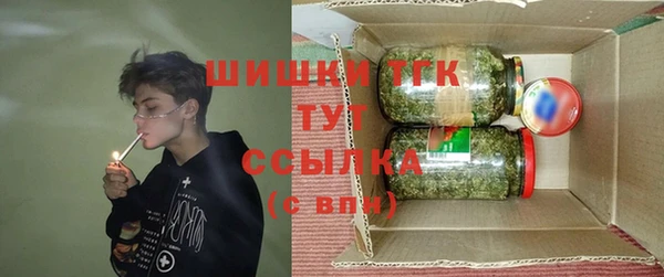 мет Гусев