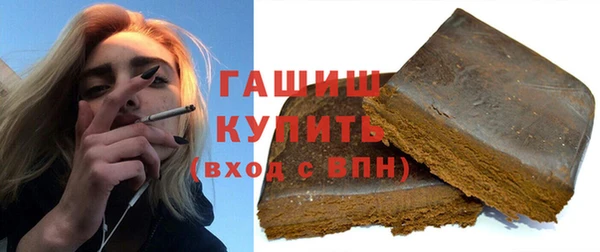 прущие грибы Гусиноозёрск