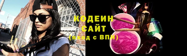 прущие грибы Гусиноозёрск