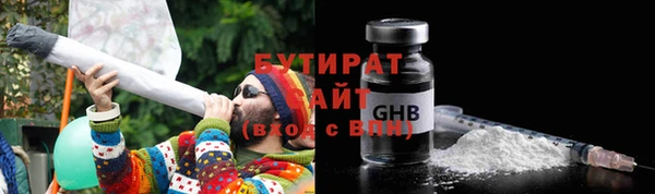 прущие грибы Гусиноозёрск