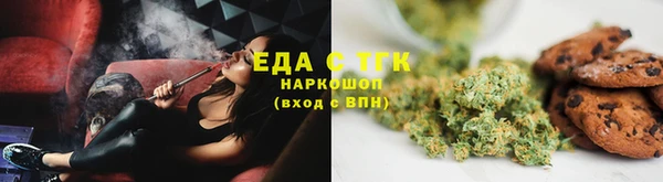 прущие грибы Гусиноозёрск