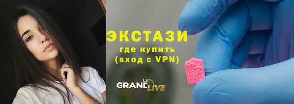прущие грибы Гусиноозёрск