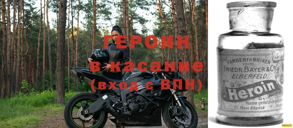 прущие грибы Гусиноозёрск