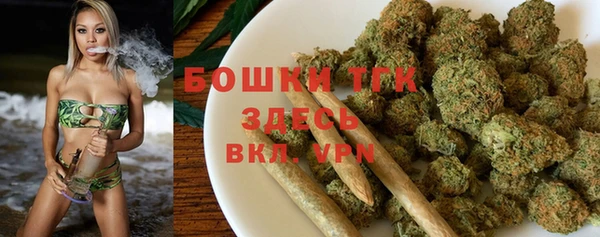 прущие грибы Гусиноозёрск