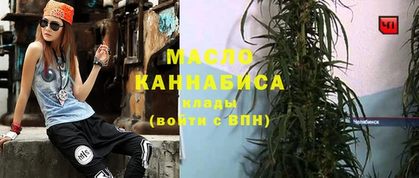 прущие грибы Гусиноозёрск