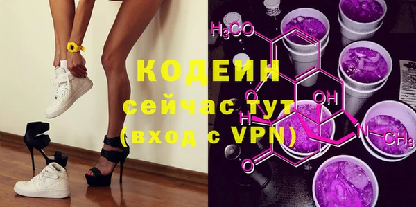 прущие грибы Гусиноозёрск