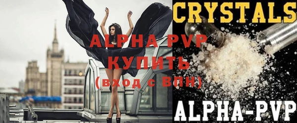 прущие грибы Гусиноозёрск