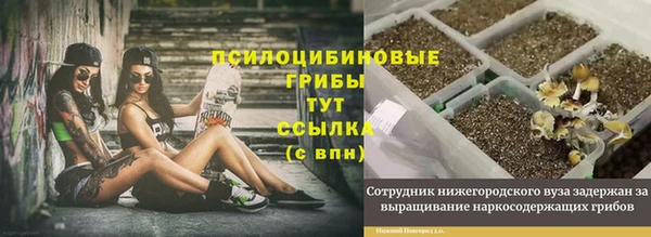мет Гусев
