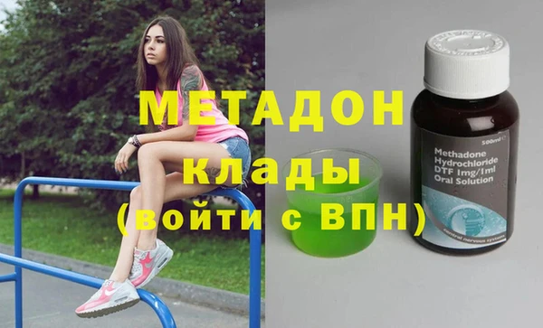 прущие грибы Гусиноозёрск