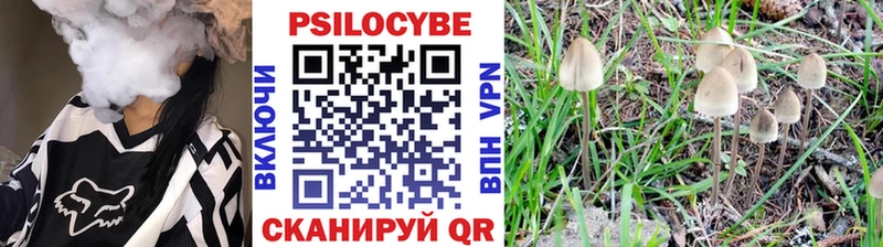 Купить закладки  Туапсе  Псилоцибиновые грибы Cubensis 